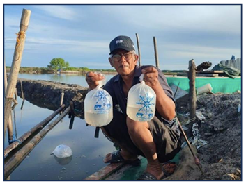 Dari Tambak Tradisional Menuju Budidaya Berkelanjutan: Kisah Sukses Pembudidaya Udang Vaname di KabupatenWajo Berkat Pendampingan Terpadu 
